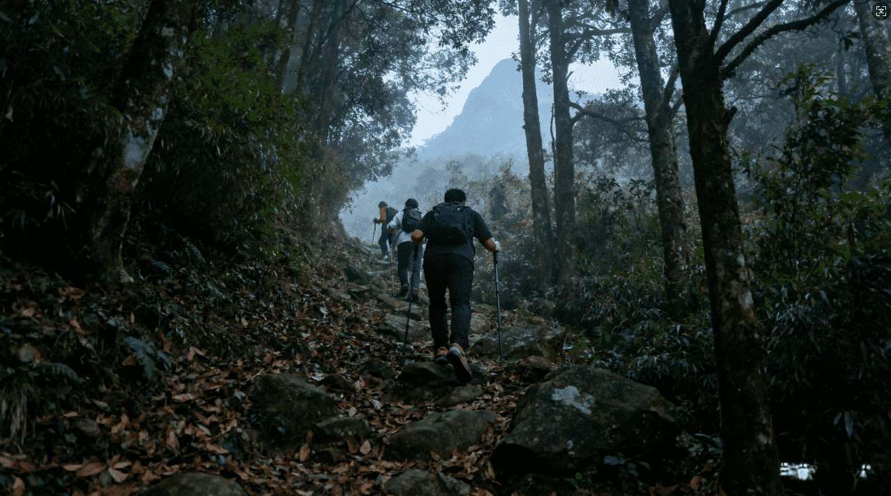 雷霆加速器下载安装的主要作用与使用价值